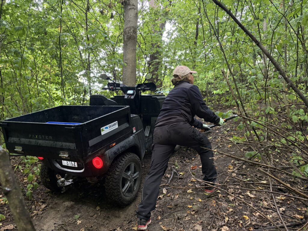anleggsgartner fra skaaret landskap bruker paxster i frognerparken